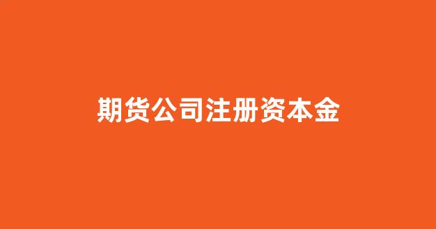 期货公司注册资本金(期货公司注册资本金实缴)_https://www.gfdzclz.com_上交所_第1张