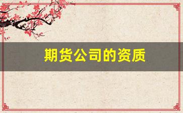 期货公司的资质(期货公司资格)_https://www.wanyuyiyao.com_上交所_第1张