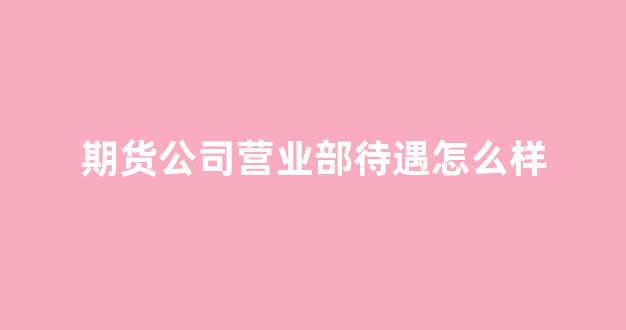 期货公司营业部待遇怎么样(期货公司营业部有哪些岗位)_https://www.xzdzcjn.com_北交所_第1张