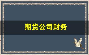 期货公司财务(期货公司财务账务处理)_https://www.hangfeite.com_深交所_第1张
