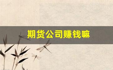 期货公司赚钱嘛(期货公司好不好)_https://www.xzdzcjx.com_创业板_第1张
