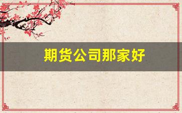 期货公司那家好(期货公司排名哪家公司好)_https://www.jumanxin.com_上交所_第1张
