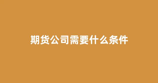 期货公司需要什么条件(期货公司需要什么条件才能上市)_https://www.xzdzcjn.com_科创板_第1张