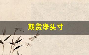 期货净头寸(期货净多头啥意思)_https://www.huakunhengjia.com_期货资讯_第1张