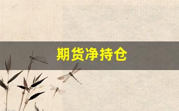 期货净持仓(期货净持仓和总持仓)_https://www.jumanxin.com_深交所_第1张