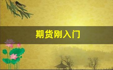 期货刚入门(期货从入门到精通)_https://www.dongshengweixin.com_创业板_第1张