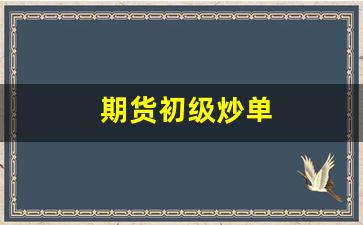 期货初级炒单(期货炒单高手方法)_https://www.huakunhengjia.com_期货资讯_第1张