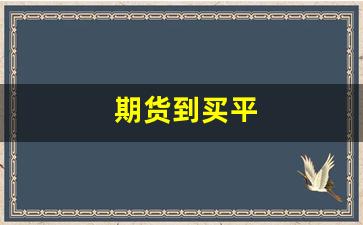 期货到买平(期货买平和买开什么意思)_https://www.fzdzcxj.com_深交所_第1张