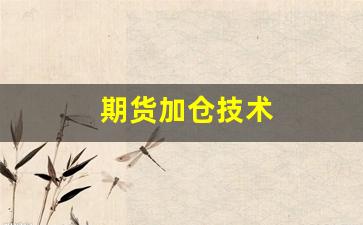 期货加仓技术(期货加仓 暴利方法)_https://www.hangfeite.com_上交所_第1张