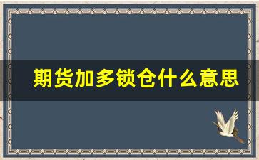 期货加多锁仓什么意思(期货锁仓是什么意思)_https://www.gfdzclz.com_创业板_第1张