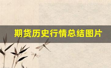 期货历史行情总结图片汇总_https://www.tuogunzhijia.com_纳指期货_第1张