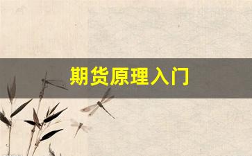 期货原理入门(期货的运作原理)_https://www.xzdzcjn.com_上交所_第1张