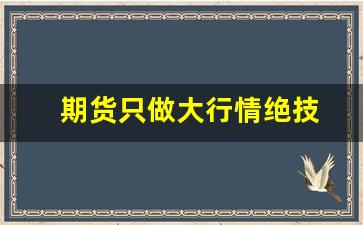 期货只做大行情绝技(期货只做大行情绝技可以吗)_https://www.ljyuan-tech.com_上交所_第1张