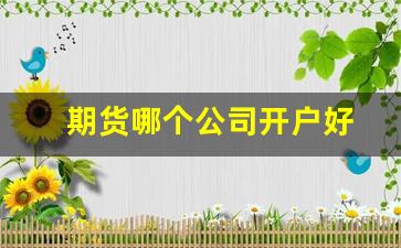 期货哪个公司开户好(期货哪个公司开户好)_https://www.wguangz.com_郑商所_第1张