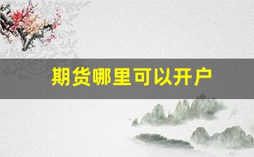 期货哪里可以开户(期货在哪里开户比较好)_https://www.erdeww.com_期货知识_第1张