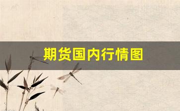 期货国内行情图(国内期货代理)_https://www.tuogunzhijia.com_纳指期货_第1张