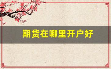 期货在哪里开户好(期货在哪里看)_https://www.wguangz.com_上期所_第1张