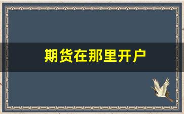 期货在那里开户(期货在什么地方开户)_https://www.gfdzclz.com_上交所_第1张