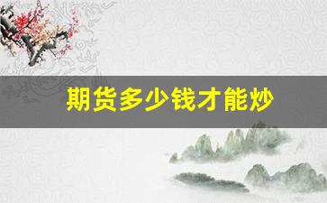 期货多少钱才能炒(炒期货最少多少钱)_https://www.xzdzcjn.com_北交所_第1张