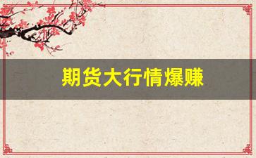 期货大行情爆赚(期货行情起爆点)_https://www.tuogunzhijia.com_原油期货_第1张