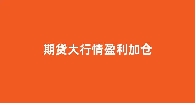 期货大行情盈利加仓(期货 盈利加仓)_https://www.rzcpcj.com_直通车_第1张