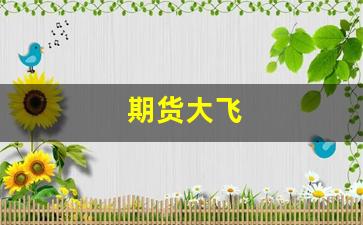 期货大飞(期货大老)_https://www.eamstsz.com_深交所_第1张
