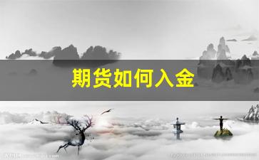 期货如何入金(期货入金和出金时间)_https://www.wanyuyiyao.com_深交所_第1张
