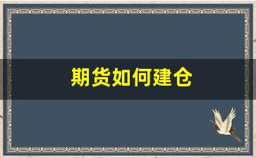 期货如何建仓(期货交易建仓方法与技巧)_https://www.xzdzcjn.com_创业板_第1张
