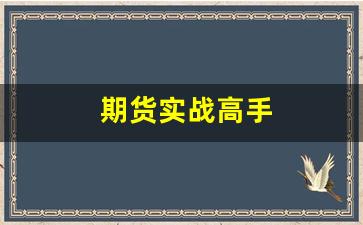 期货实战高手(期货实战高手交易模型)_https://www.qldgs.com_内盘期货_第1张
