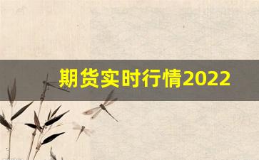 期货实时行情2022(期货实时行情在线看)_https://www.erdeww.com_期货_第1张