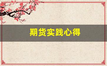 期货实践心得(期货实践心得体会)_https://www.dcjwmf.com_大商所_第1张