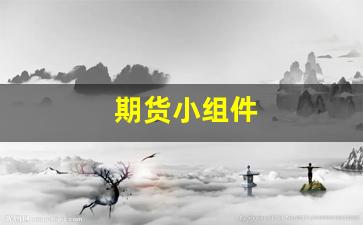 期货小组件(期货软件界面)_https://www.hhem8.com_深交所_第1张