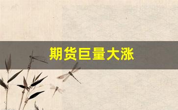 期货巨量大涨(期货猛涨)_https://www.xzdzcjx.com_创业板_第1张