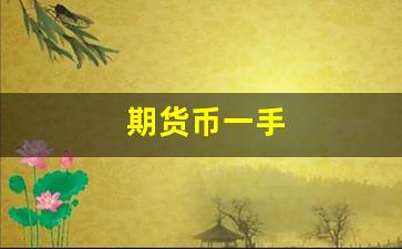期货币一手(期货多少钱)_https://www.wguangz.com_广期所_第1张