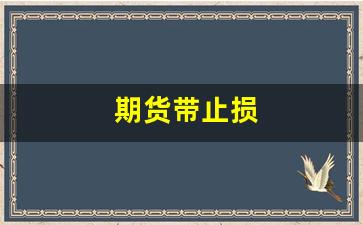 期货带止损(期货止损可以比成本价高吗)_https://www.xzdzcjx.com_北交所_第1张