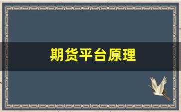期货平台原理(期货平台十大排行榜)_https://www.nalian8.com_上交所_第1张