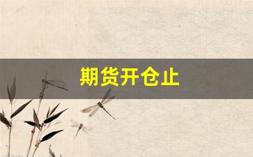 期货开仓止(期货开仓术语)_https://www.wanyuyiyao.com_创业板_第1张