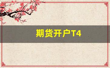 期货开户T4(期货开户)_https://www.cangshenghg.com_财经新闻_第1张