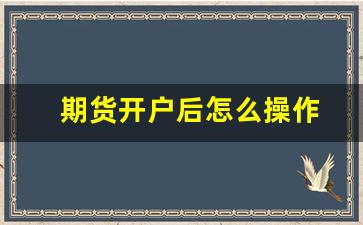 期货开户后怎么操作(期货开户哪家手续费最便宜)_https://www.fzdzcxj.com_科创板_第1张