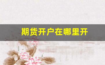 期货开户在哪里开(期货开户哪家手续费最便宜)_https://www.dcjwmf.com_上期所_第1张