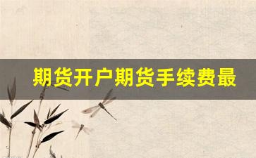期货开户期货手续费最低(期货开户哪家手续费最便宜)_https://www.xzdzcjx.com_创业板_第1张