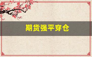 期货强平穿仓