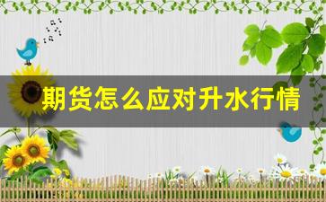 期货怎么应对升水行情_https://www.haiwangdasha.com_深交所_第1张
