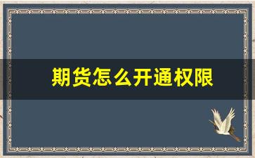 期货怎么开通权限(期货怎么开通权限交易)_https://www.shshucaipeisong.com_上交所_第1张