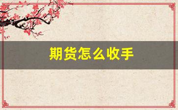 期货怎么收手(期货怎么收益)_https://www.heiljjianzu.com_创业板_第1张