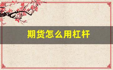 期货怎么用杠杆(期货怎么用杠杆交易)_https://www.hangfeite.com_深交所_第1张