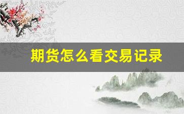 期货怎么看交易记录(期货怎么看交易记录详细时间)_https://www.fzdzcxj.com_深交所_第1张