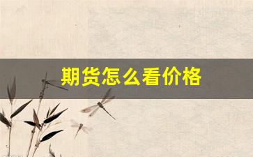 期货怎么看价格(期货怎么看价格低于成本)_https://www.xzdzcjn.com_深交所_第1张