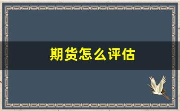 期货怎么评估(期货价格怎么确定)_https://www.xzdzcjn.com_创业板_第1张
