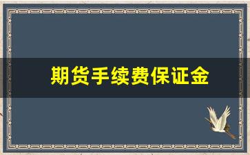 期货手续费保证金(期货手续费最新一览表)_https://www.xzdzcjx.com_深交所_第1张